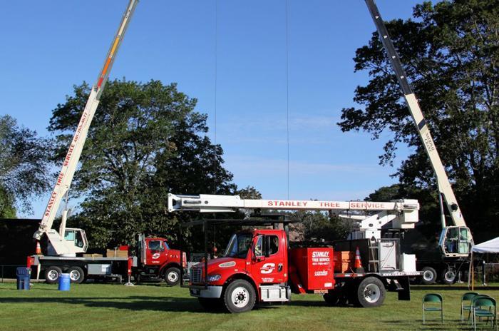 MEC&amp;F Expert Engineers A tree service worker with