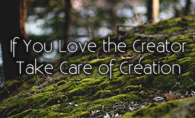 If You Love The Creator, Take Care Of Creation