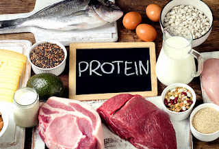 Protein in Meat