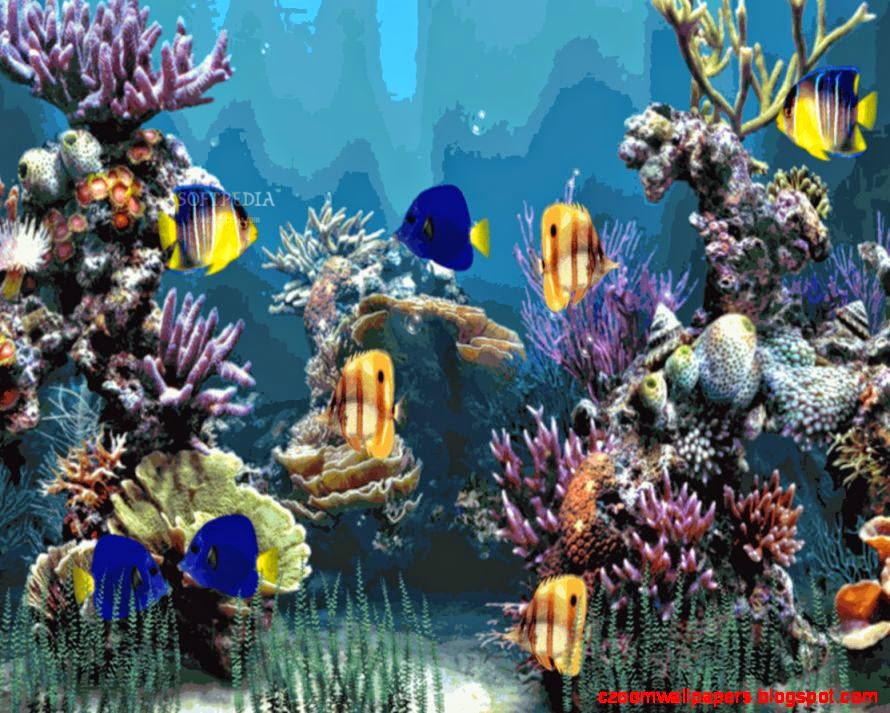 Aquarium Animated Wallpaper Download   Softpedia
