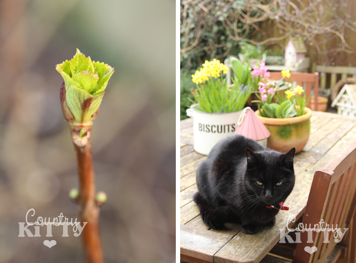 Between Winter and Spring part 2 The awakening