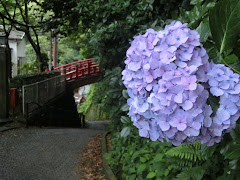 �]�̓��̃A�W�T�C