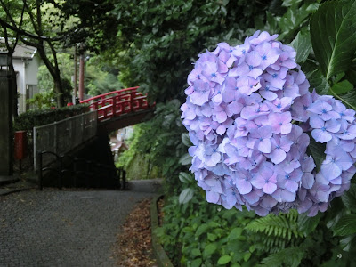 �]�̓��̃A�W�T�C