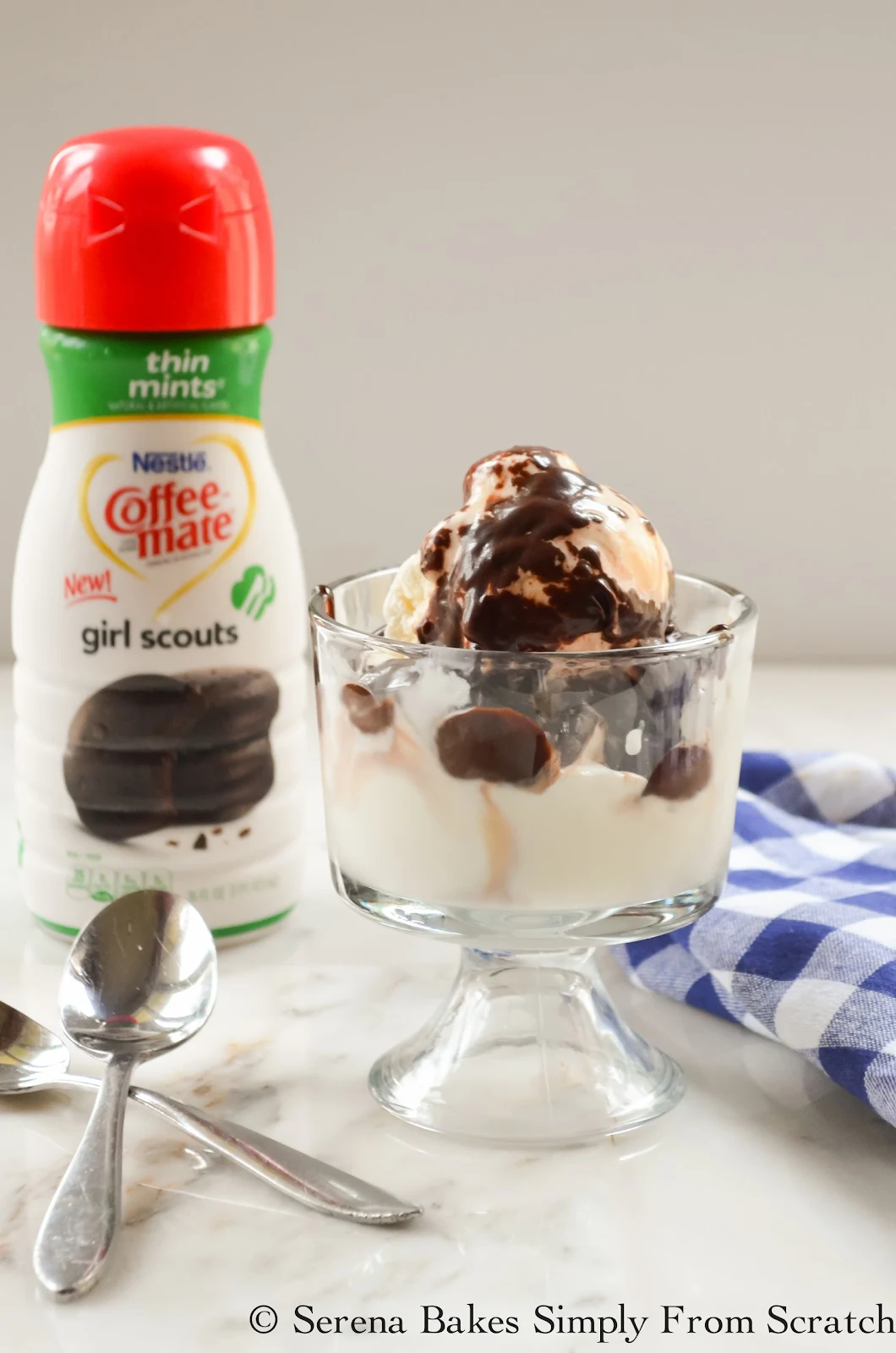 Coffee-mate® Girl Scouts® Thin Mints® Flavored Hot Fudge Sauce 