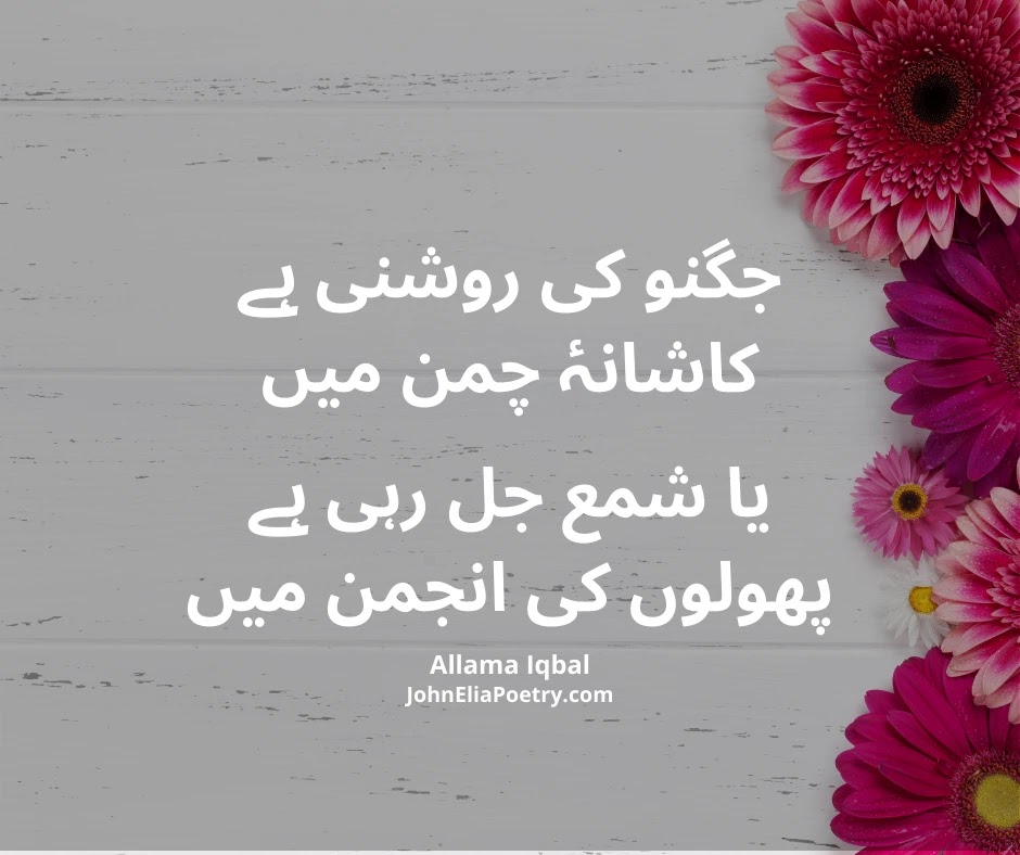 جگنو کی روشنی ہے کاشانۂ چمن میں جگنو کی روشنی ہے کاشانۂ چمن میں