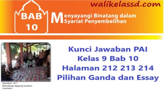 Kunci Jawaban Pai Kelas 9 Bab 10 Halaman 212 213 214 Pilihan Ganda Dan Essay Wali Kelas Sd