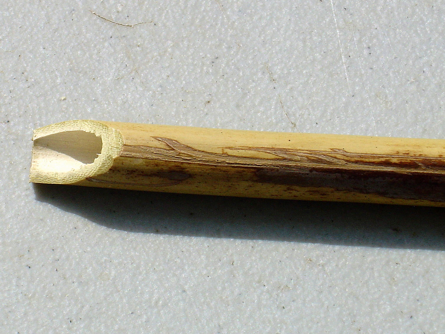 Tyler Dahl It's finally here! The long awaited bamboo dip pen tutorial!