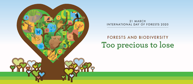 International Day of Forests 2020