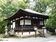 �ΎR����e��