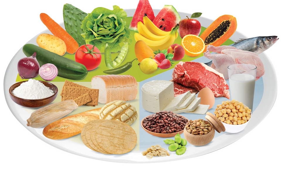 Sesión 1 Alimentación y Nutrición. Tipos de Alimentos.