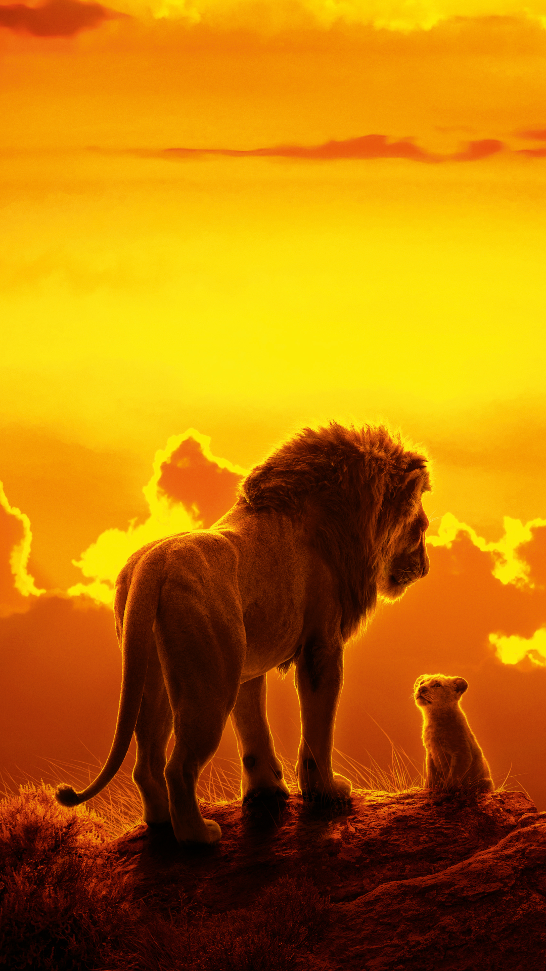 The Lion King 2019 Mobile Wallpaper HD Mobile Walls