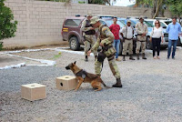 Cipe Chapada inaugura canil com cão treinado para identificar drogas escondidas Cipe Chapada inaugura canil