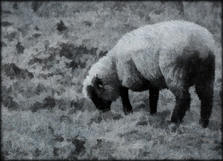 Gedichte Unter Der Laterne November 2015