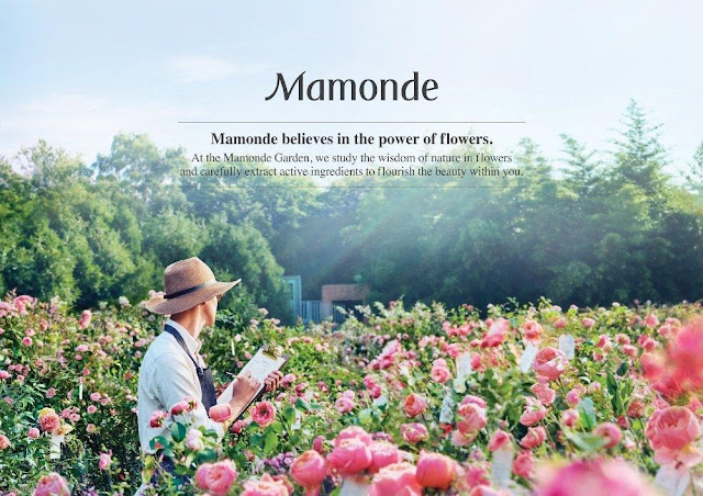 ve thuong hieu mamonde