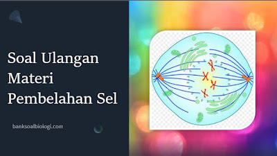 Soal Biologi Pembelahan Sel