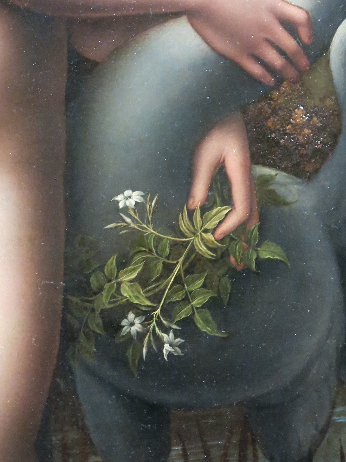 Spencer Alley Francesco Melzi / Andrea Salai Leonardo's Favorites