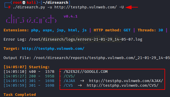 Dirsearch Advanced Techniques