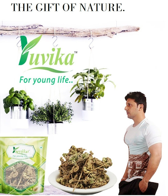 VIKAS PETWAL Lakshman Booti control High Cholesterol !! Yuvika Herbs