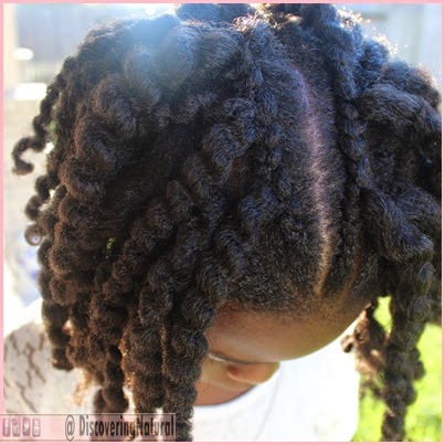 How to Create a WaterFall Braided Twistout (Pictorial)