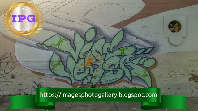 My Owl Barn Google Street Art Project Repository Of Graffiti And