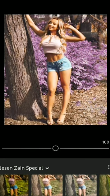 Preview Profile #2 Download 176 Profile Lightroom CC Mobile Gratis