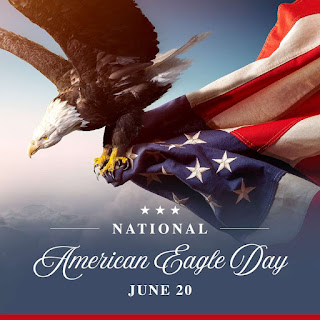 National American Eagle Day HD Pictures, Wallpapers