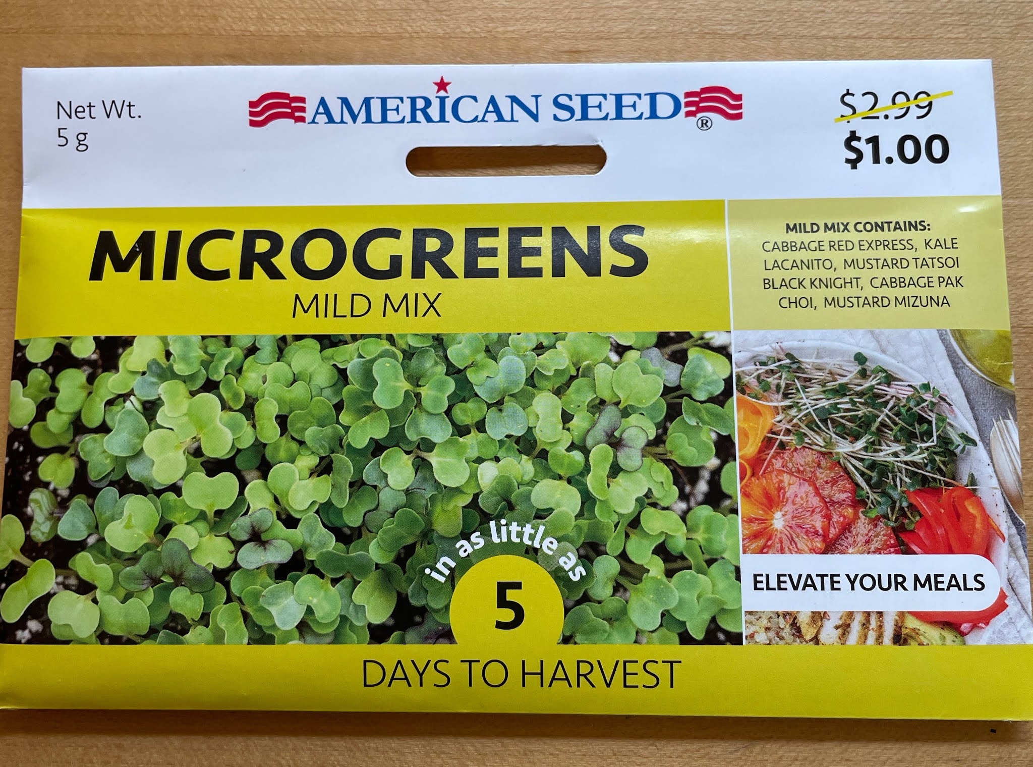 Garden Items at the Dollar Tree Store Julie's Creative Lifestyle