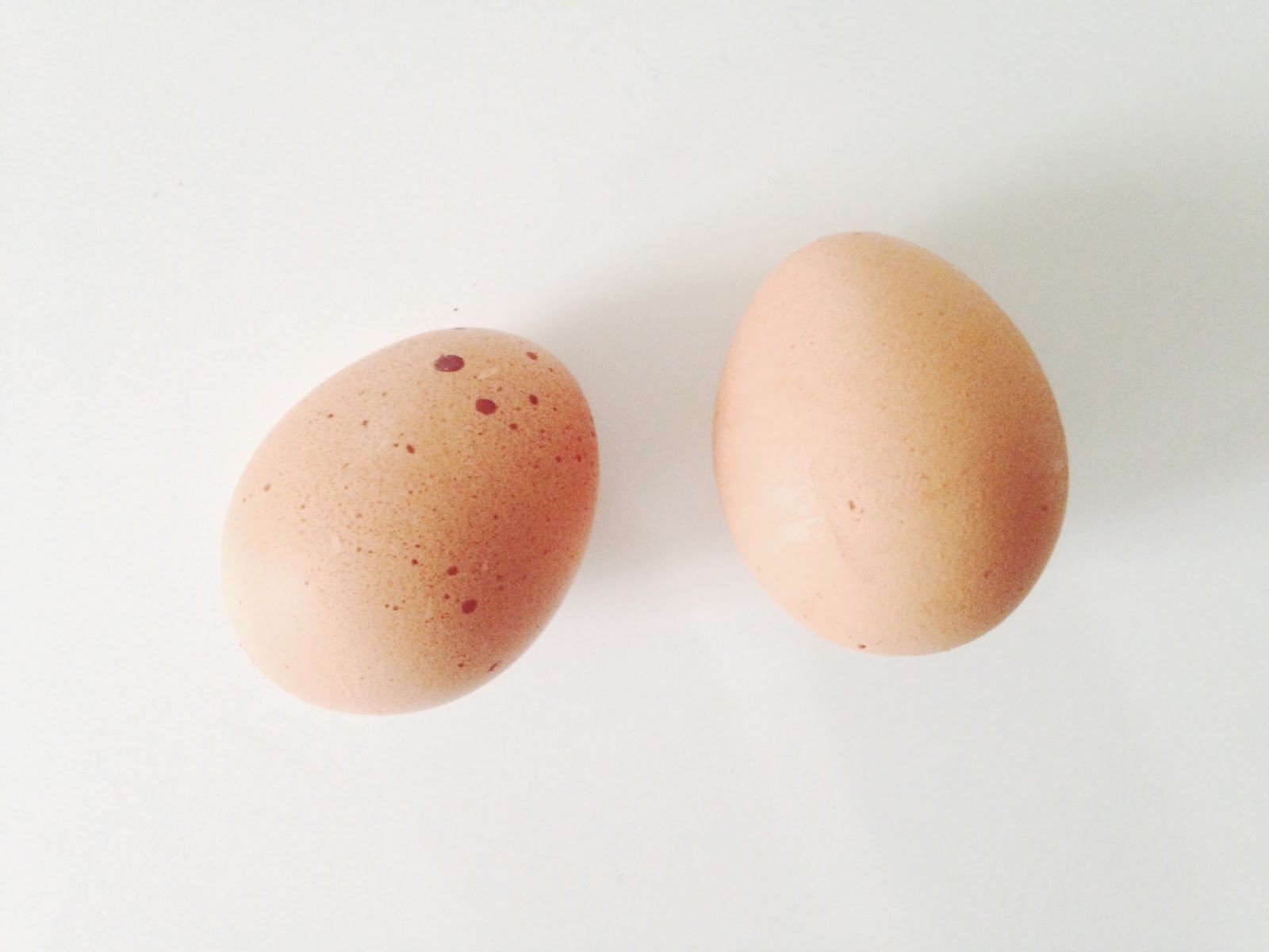 Are Eggs Really Bad for You? | Curiously Conscious