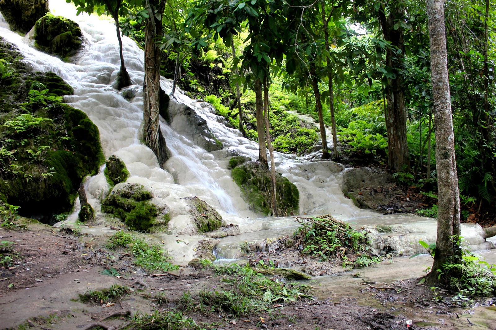 Market of Eden: The Sticky Falls (Buatong Waterfall)