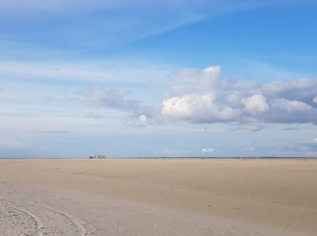 Urlaub auf Fanø mit Kindern: 4 Outdoor-Ausflüge für Familien. Ein toller Ausflugstipp für alle Natur-Fans: Der Sören Jessens Sand auf Fanö.