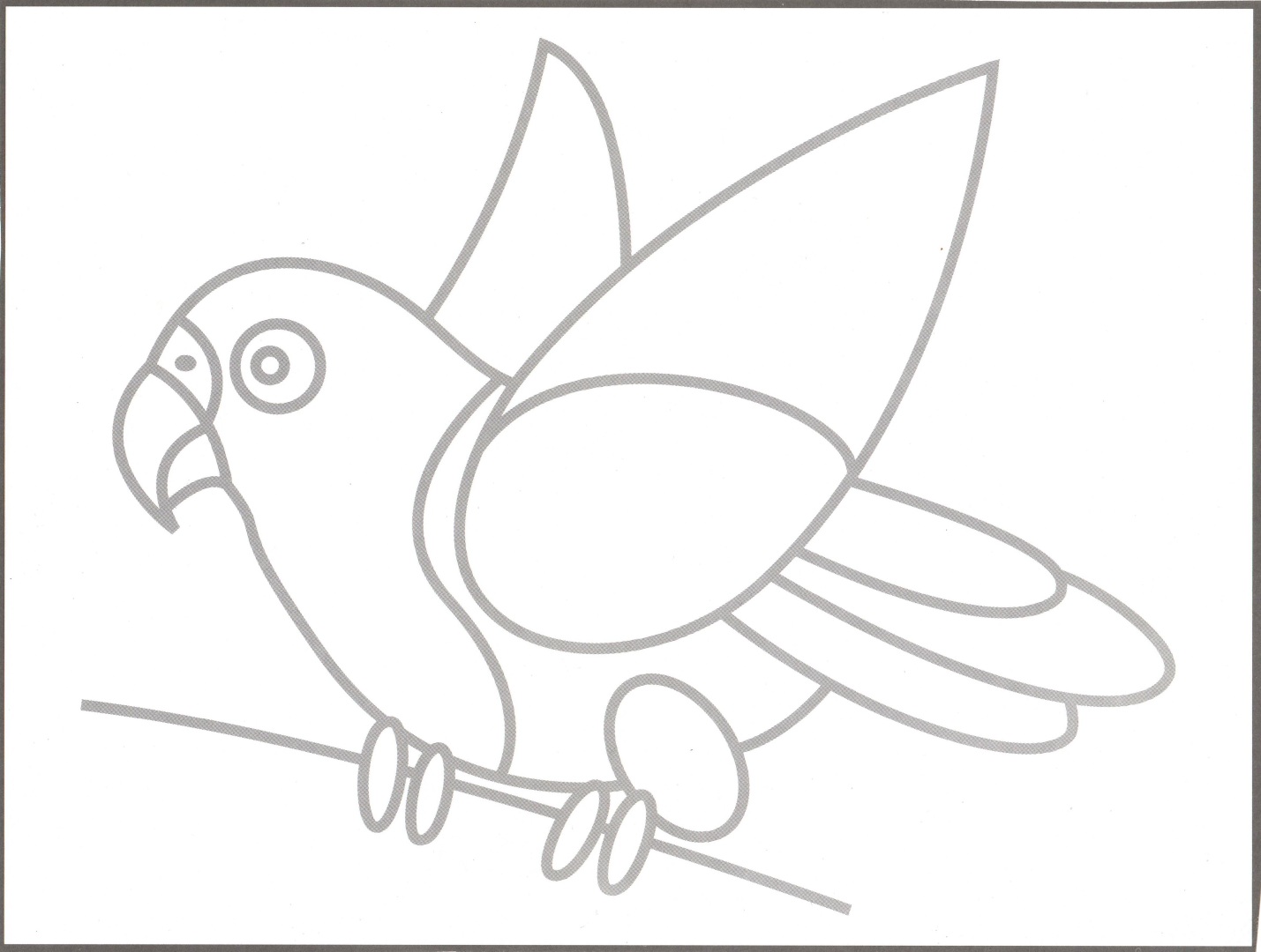 1 класс технология обрывная попугай. изделие попугай 1 класс. полеты птиц. попугай технология класс. обрывная аппликация попугай.