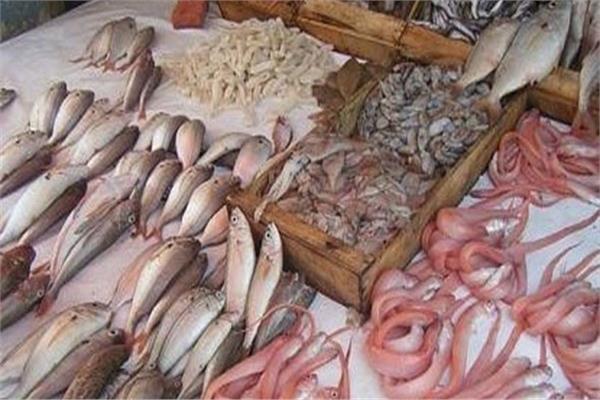 أسعار الأسماك اليوم فى مصر 2022