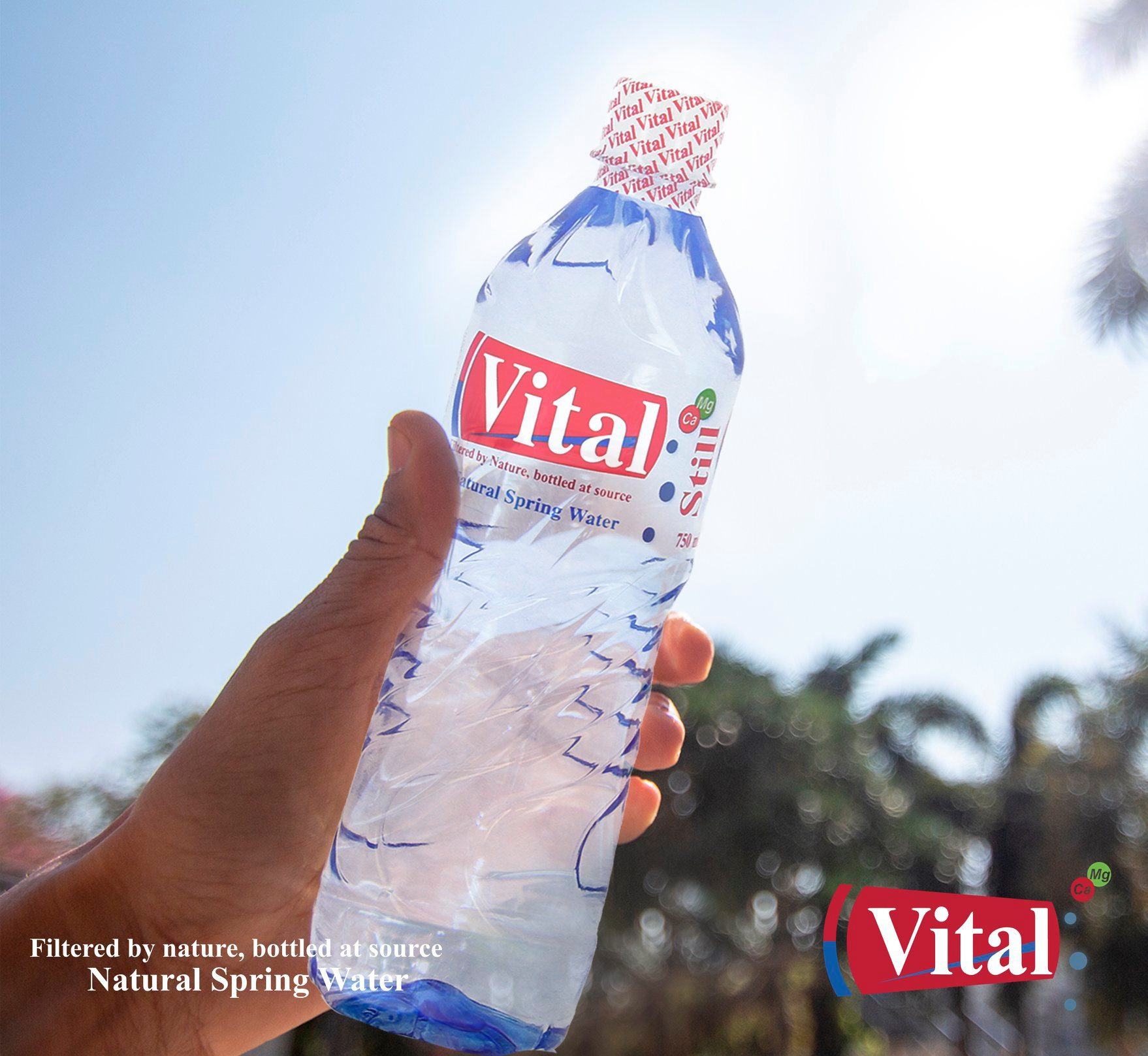 Vital Natural Spring Water LEMON ZAMBIA