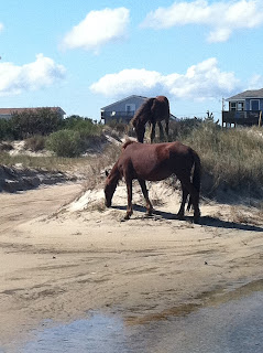 When My Crazy Life and Ministry Collide!