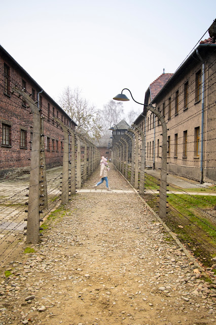 Filo spinato-Campo di concentramento di Auschwitz