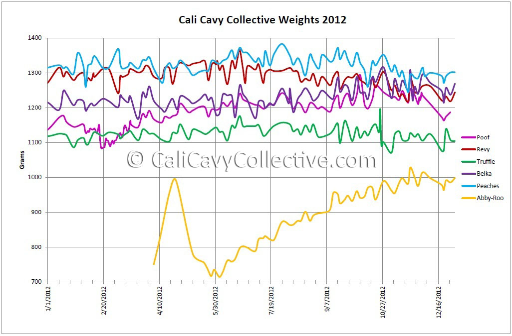 Cali Cavy Collective: a blog about all things guinea pig: 2012 Weight