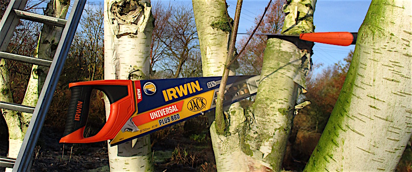 Flora Montana Birch Leaved Spirea