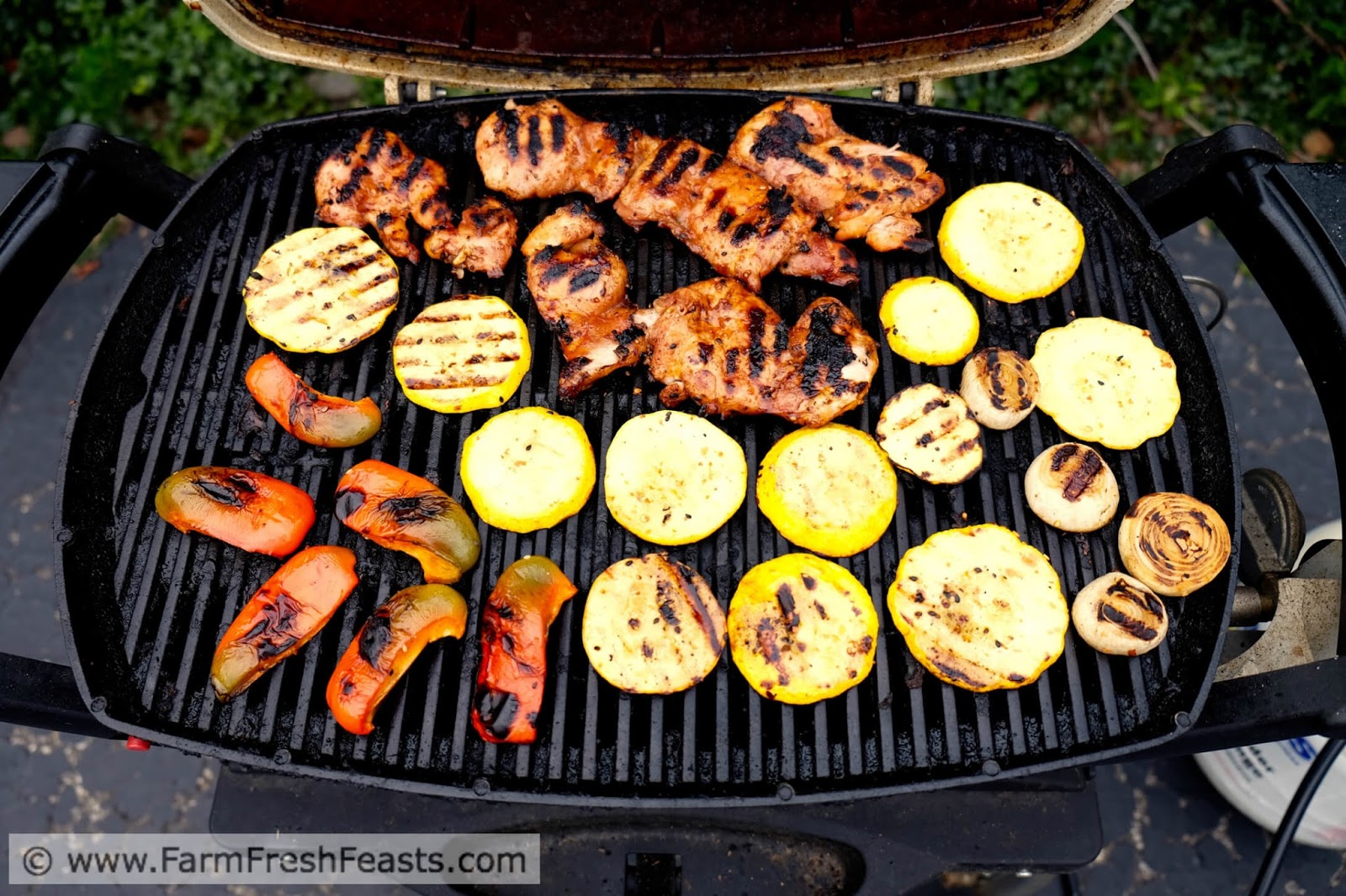 Farm Fresh Feasts Grilled Korean Chicken Thighs with Squash and Peppers