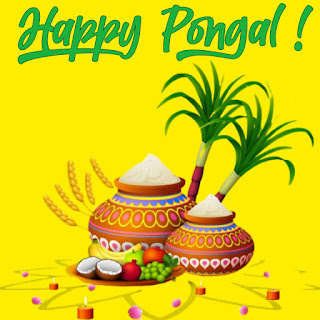 happy pongal  images free download with pot