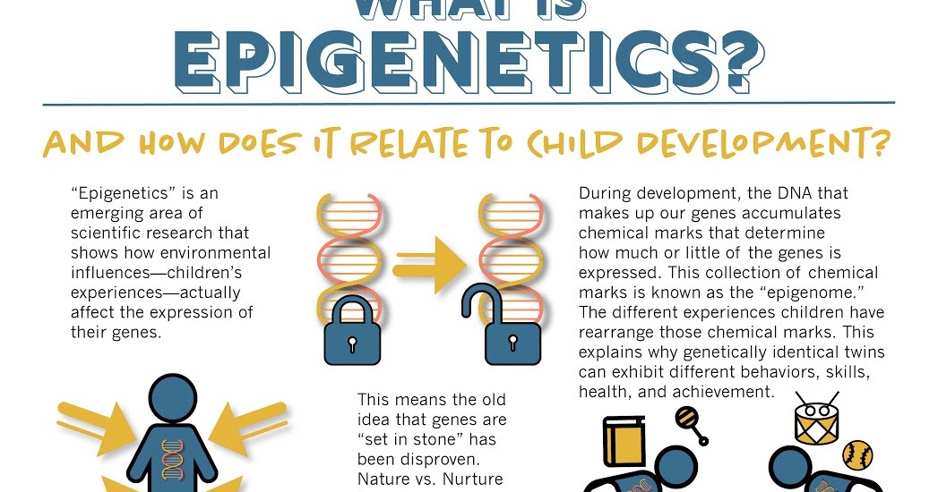 and Child Development How Children’s Experiences Affect Their Genes By Centre on