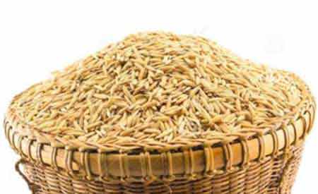 Tandula Akshata – Unbroken Rice Grain Used In Hindu Rituals | Hindu Blog