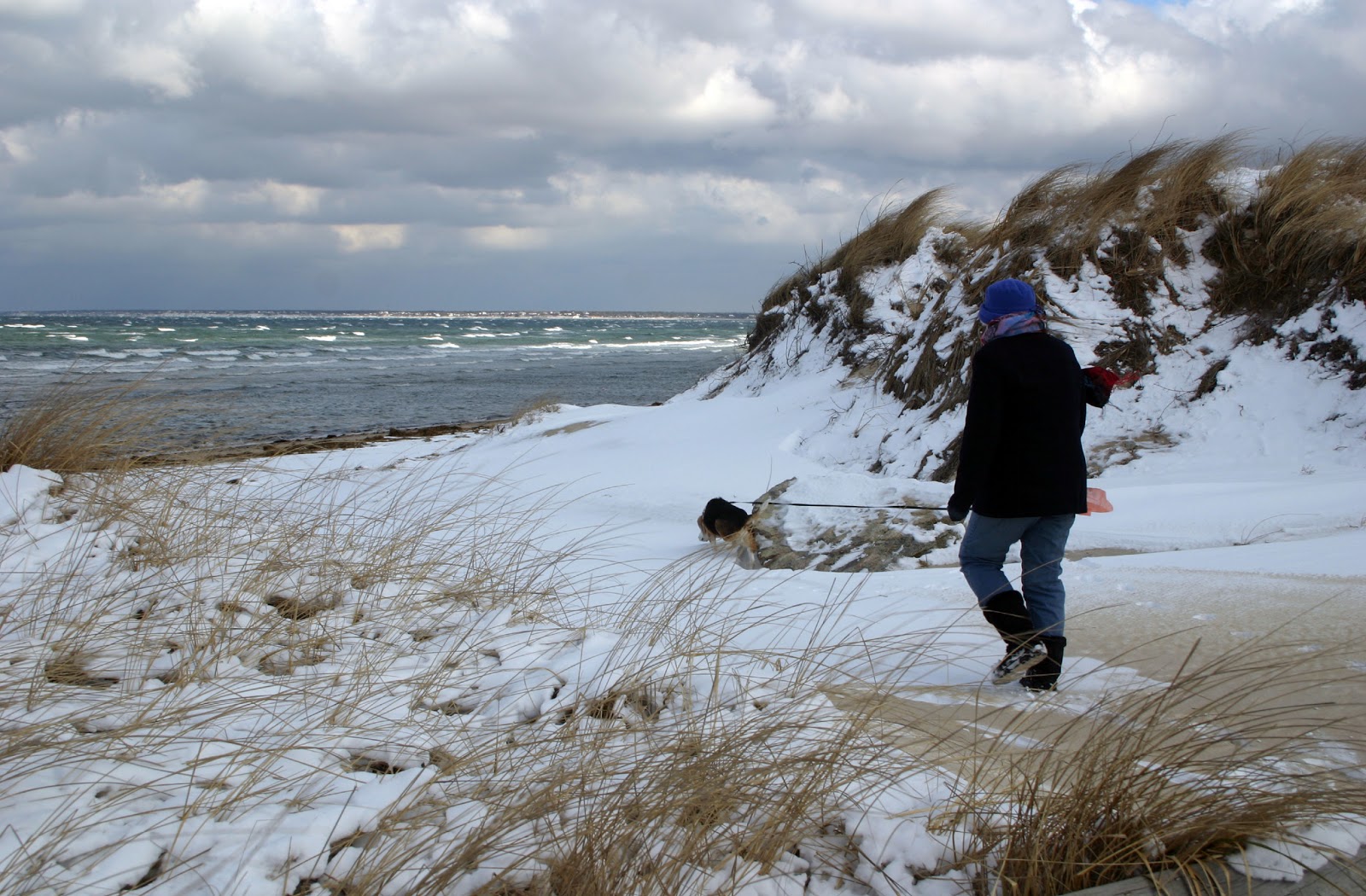 Barbara Eppich Struna Winter on Cape Cod