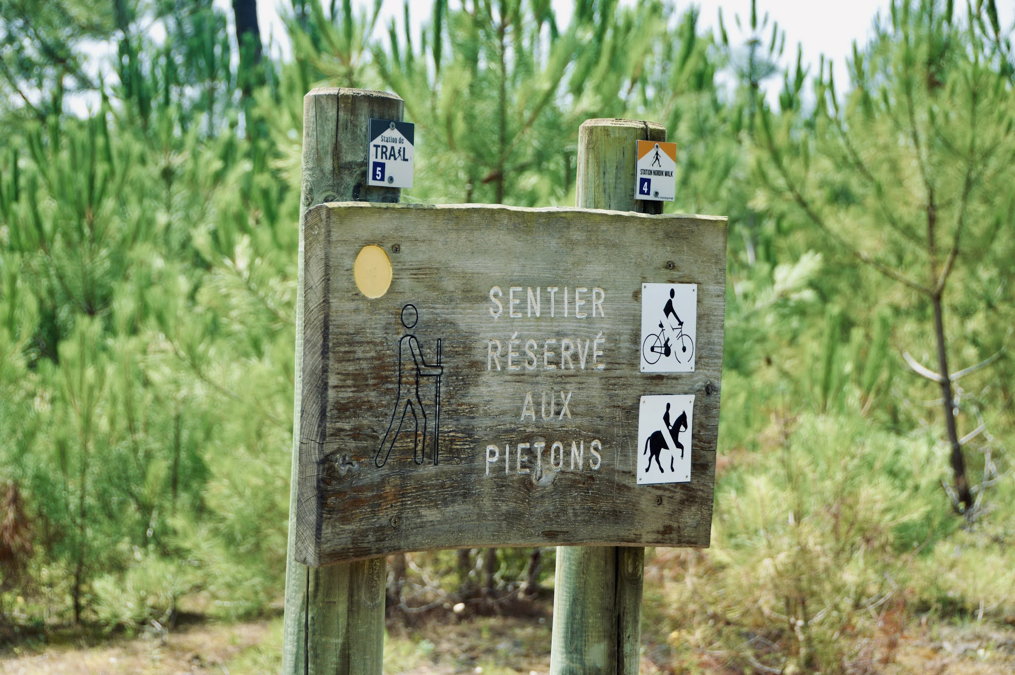 BALADE-FORÊT-FAMILLE-VENDEE-RANDONNÉE