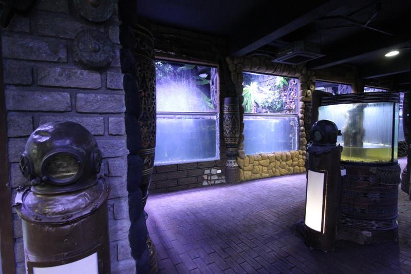 Las Farolas The Fish World A Living Museum of Ornamental Freshwater