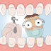 Yirmilik Diş Hayatımın En Büyük Hatası