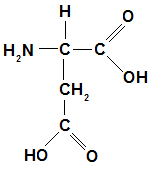 estrutura quimica acido aspartico formula função