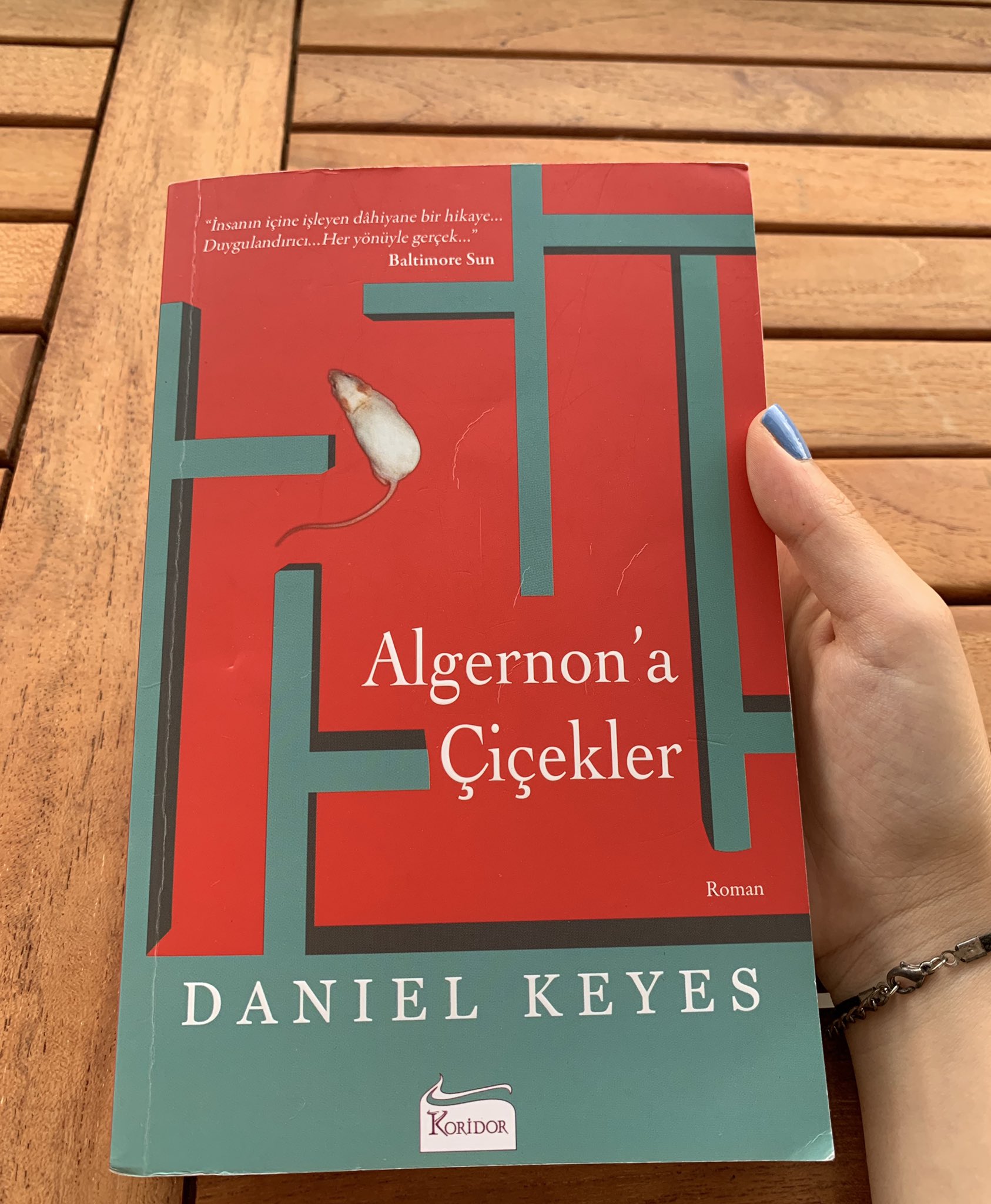 Neslican'ın Kitaplığı Algernon'a Çiçekler, Daniel Keyes