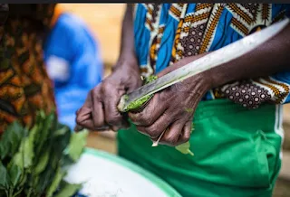 Cooking in a small village in the center region of Cameroon