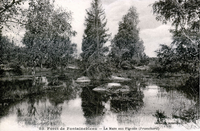 La mare aux Pigeons, forêt de Fontainebleau, stage photo.