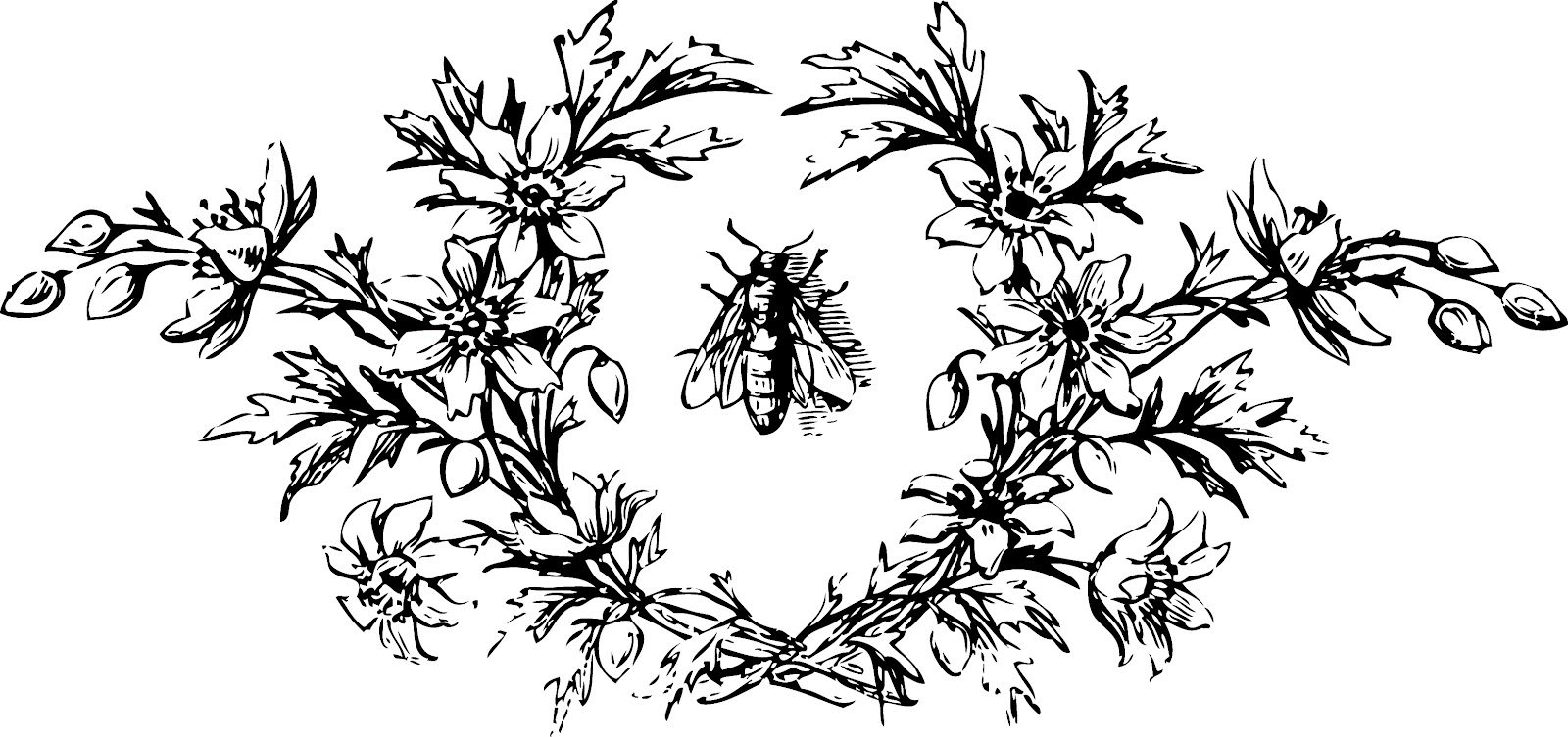 free french bee clip art - photo #27